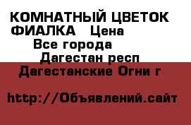 КОМНАТНЫЙ ЦВЕТОК -ФИАЛКА › Цена ­ 1 500 - Все города  »    . Дагестан респ.,Дагестанские Огни г.